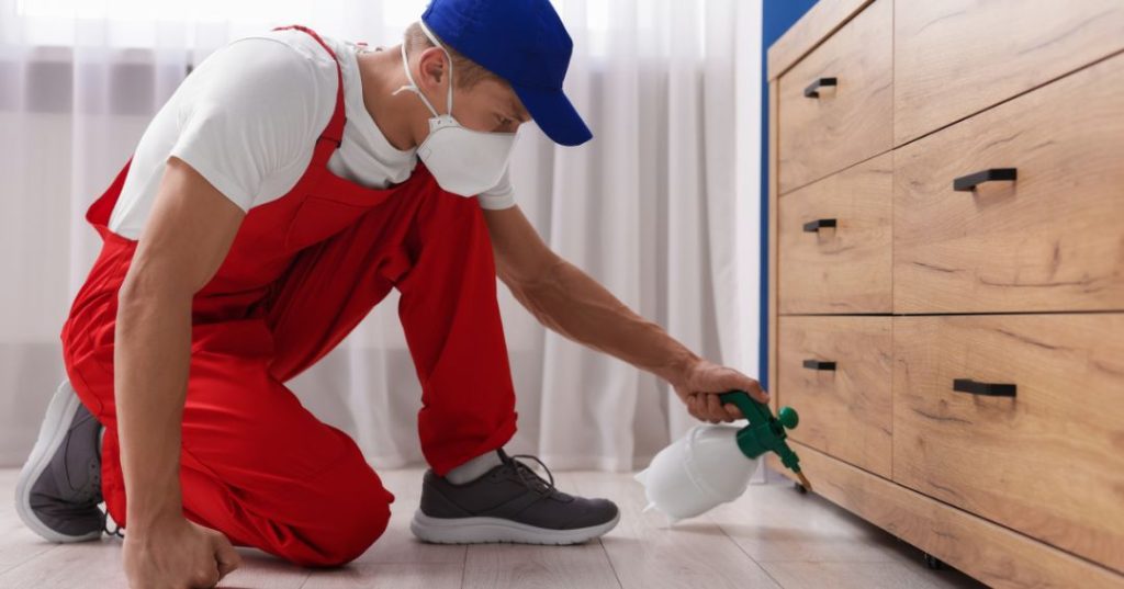 capa dedetizacao em Jundiaí